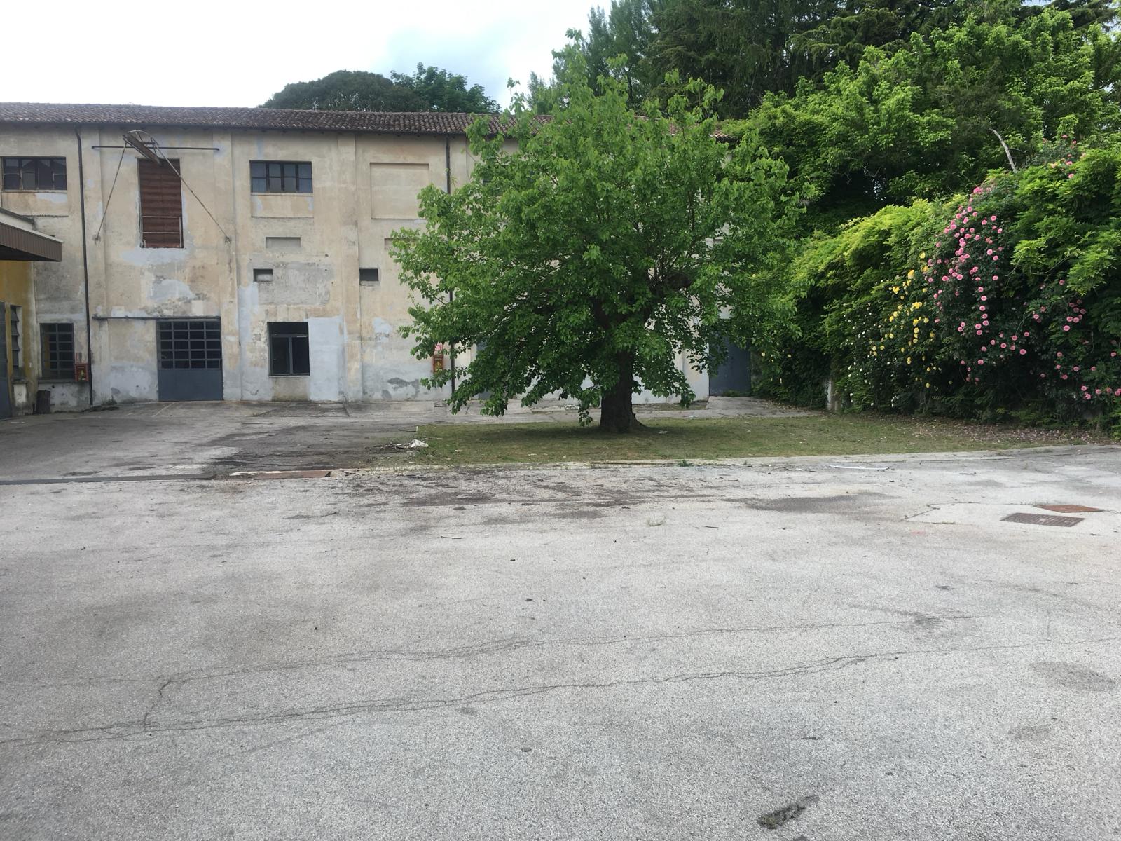 Treviso - Conegliano