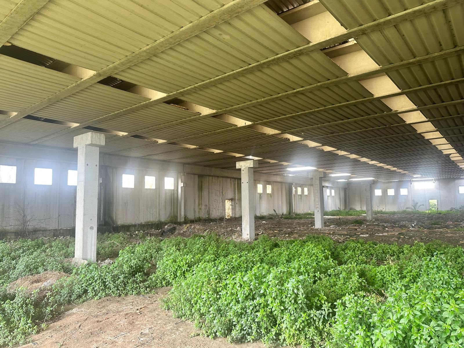 Caserta - Cancello ed Arnone